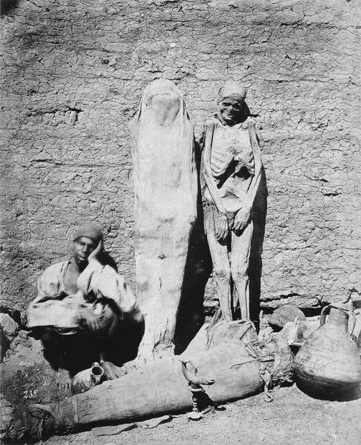 Mummy seller