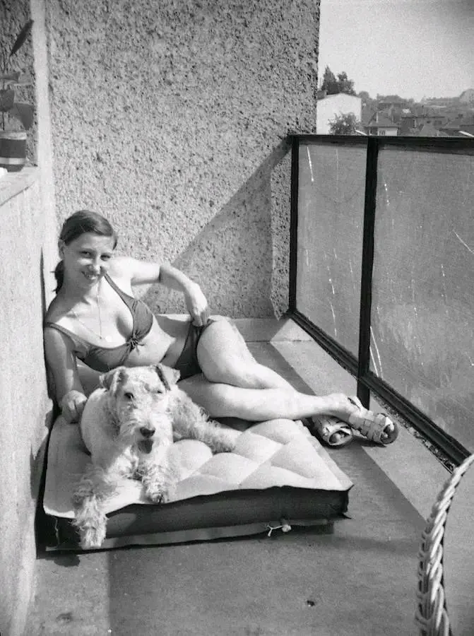 A Photo Taken Somewhere in Hungary