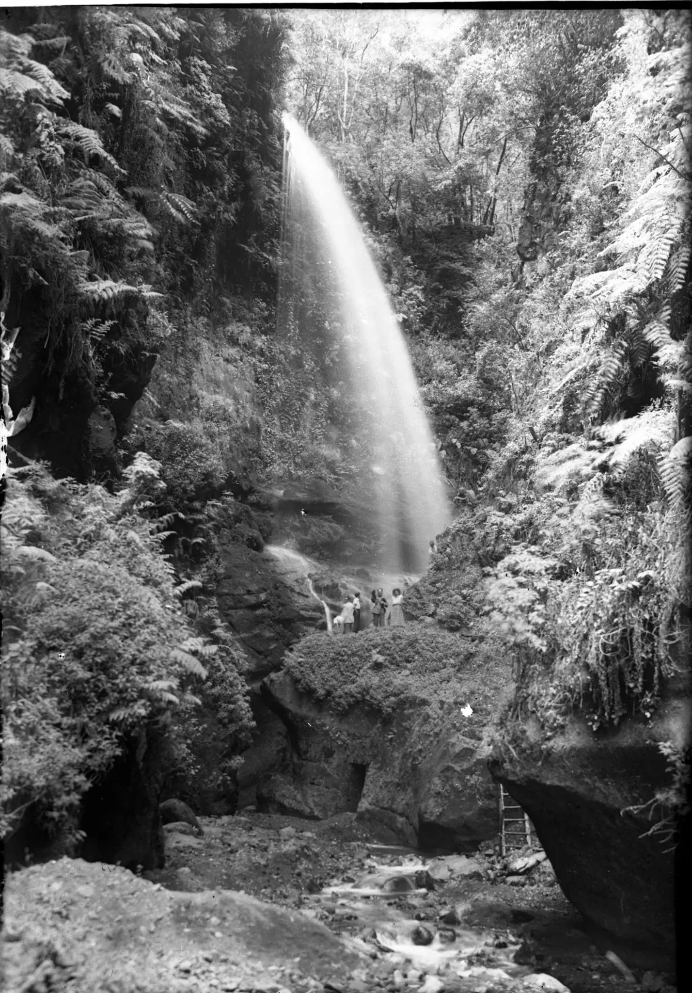 Cascada de Los Tilos