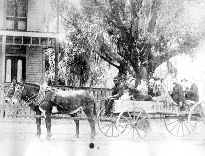 Going to the cane grind