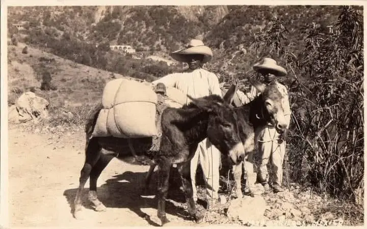 Arrieros del estado de Jalisco
