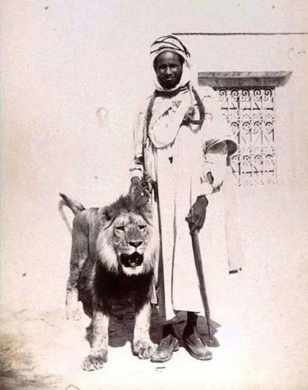 Homme tunisien avec son lion