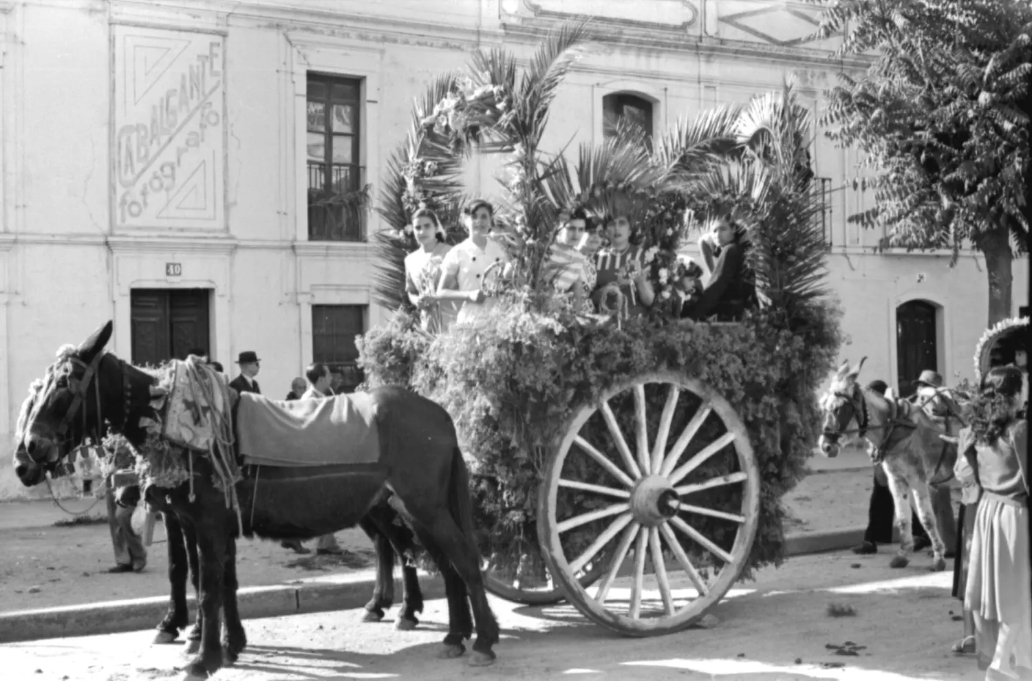 Carroza en la Romería