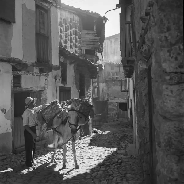 Hombre con burro
