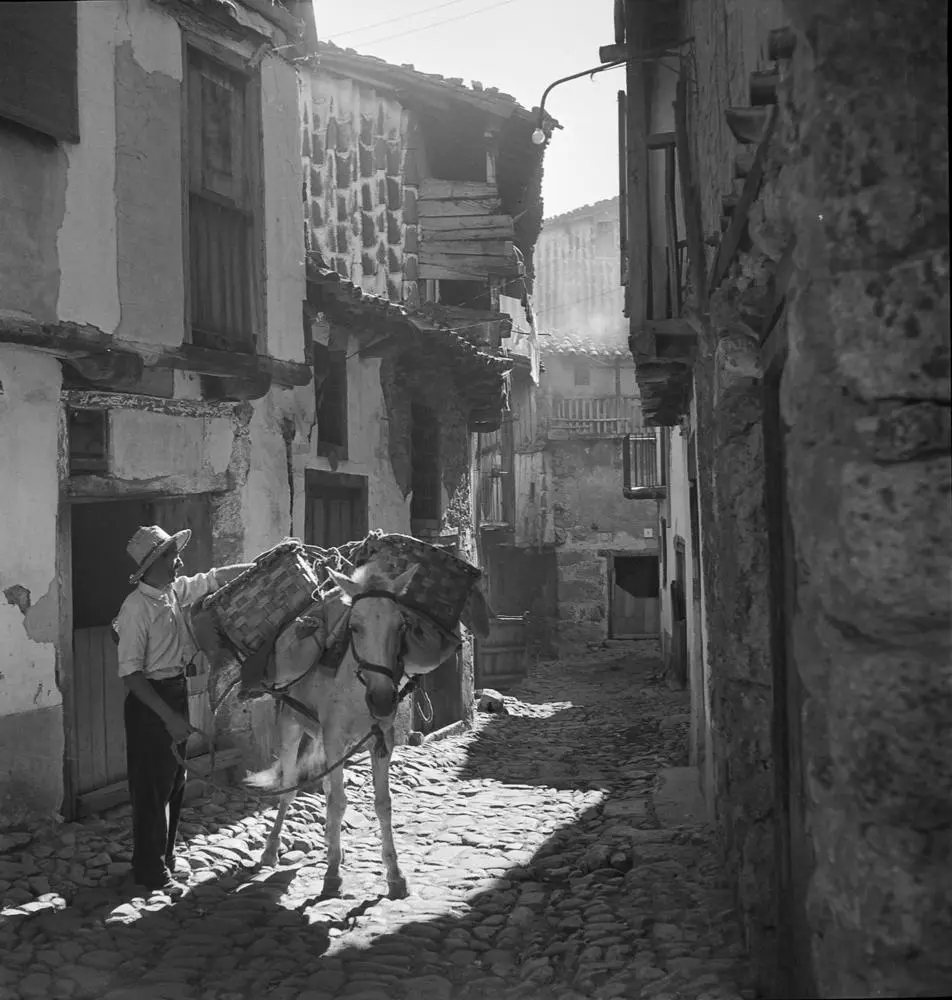 Hombre con burro