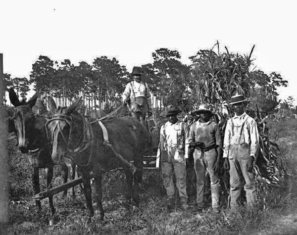 African American agricultural laborers
