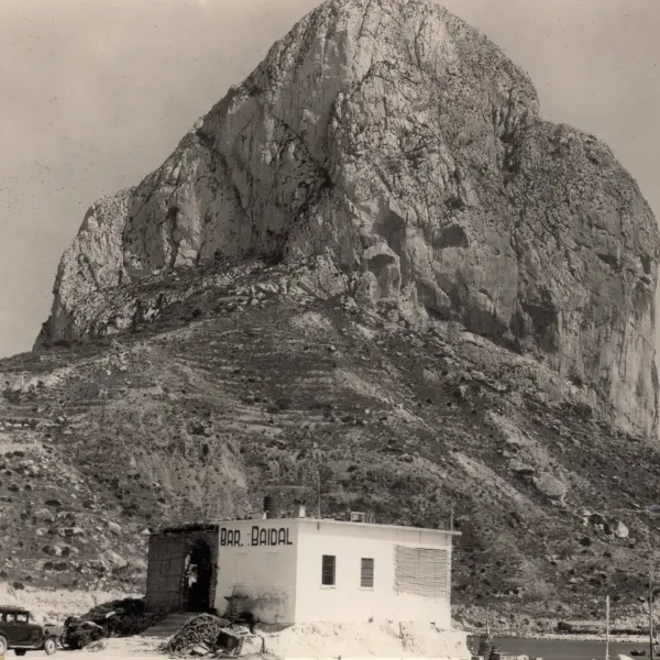 Primitivo Bar Baydal