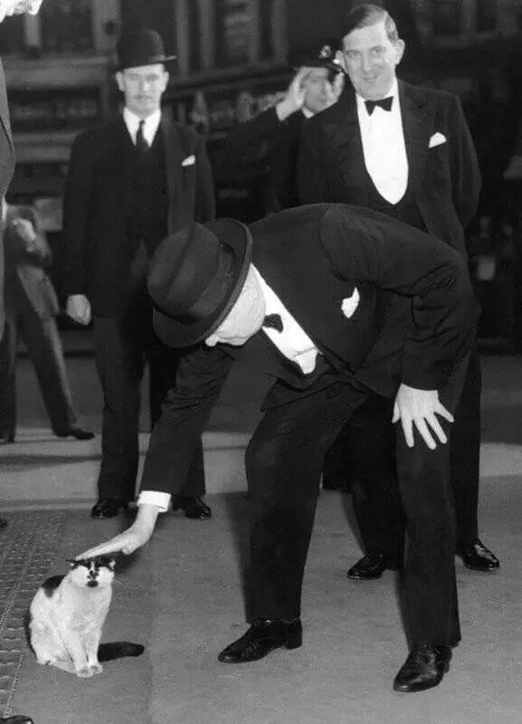 Winston Churchill with Cat