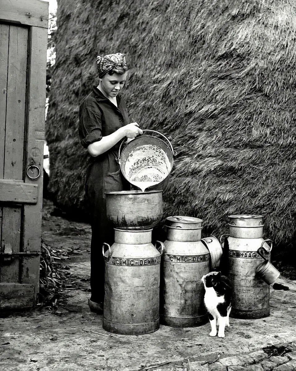 Farm girl and kitten
