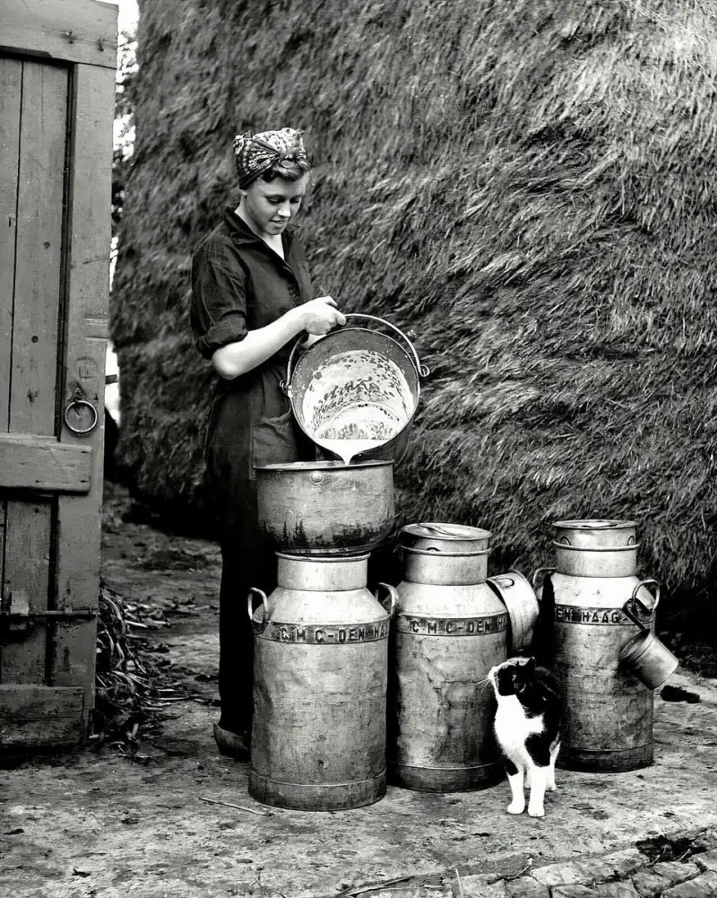 Farm girl and kitten