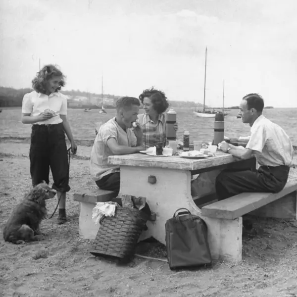 A family enjoying a picnic lunch