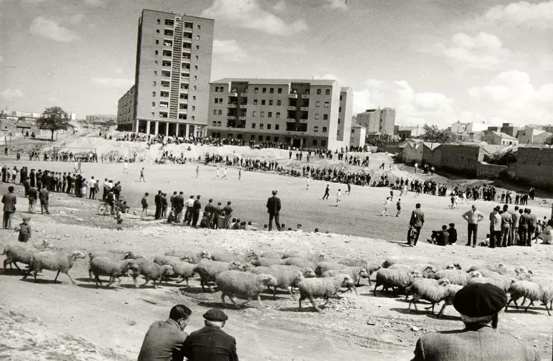 Fútbol, ladrillo y ovejas al borde del área