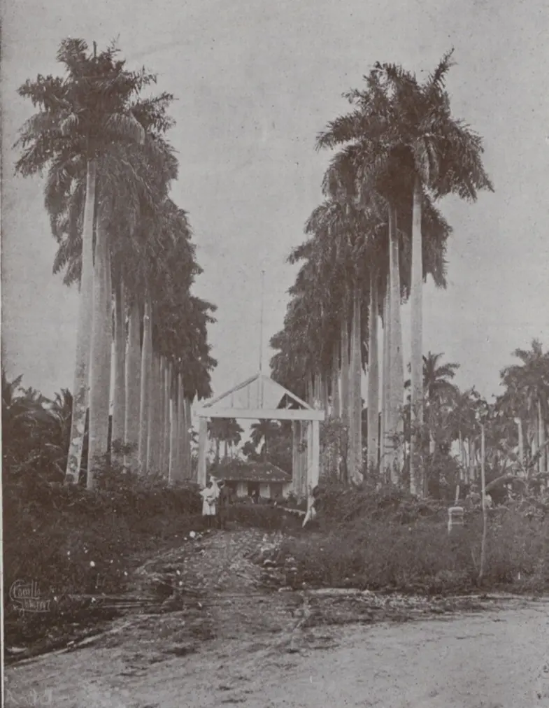 Entrada de una hacienda.