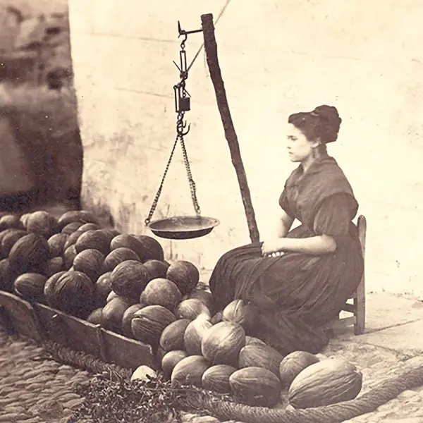 Melonera