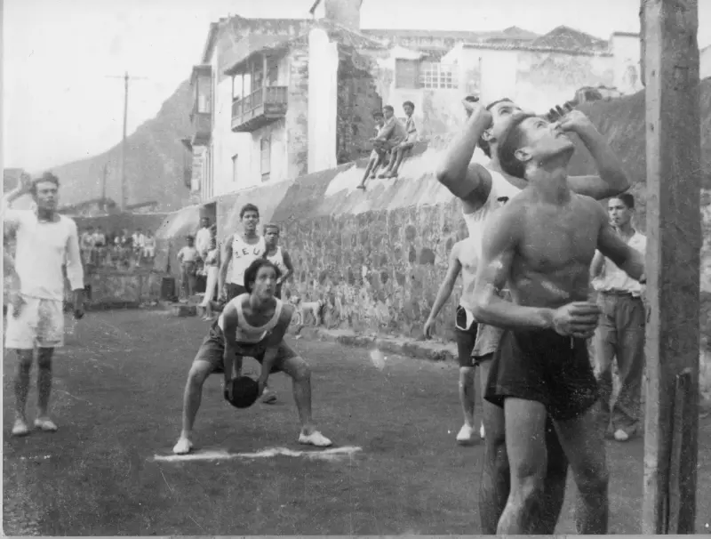 Zeus C.B. en la finca de la familia Yanes