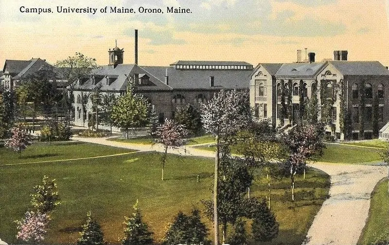 The Campus of the University of Maine