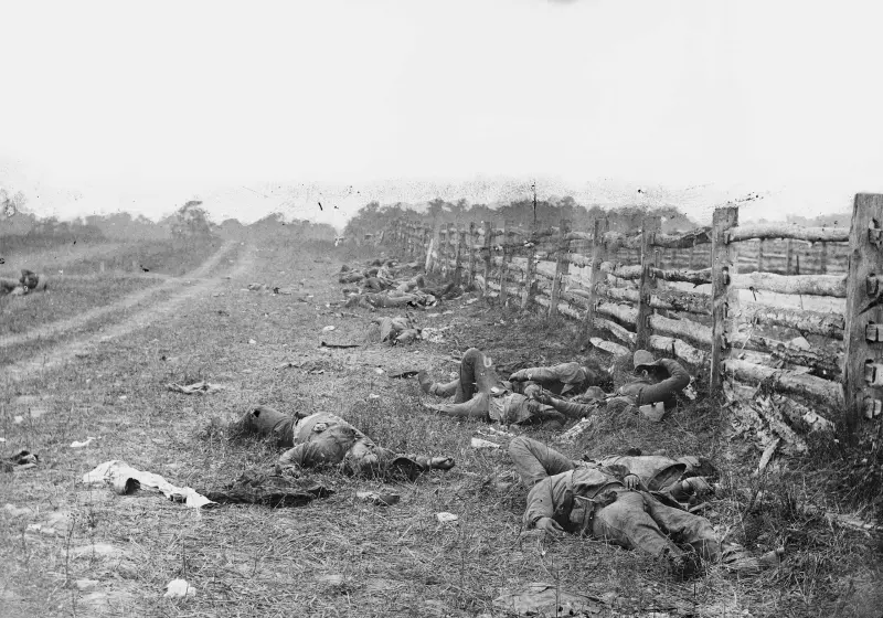 Confederate dead at Antietam