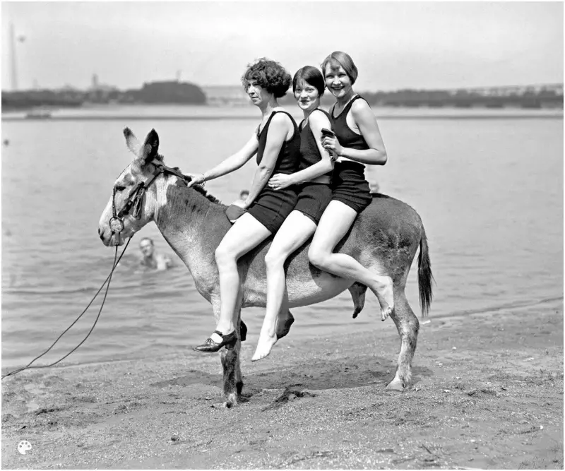 Hazel Watson, Eleanor Howell and Marjie Peacock