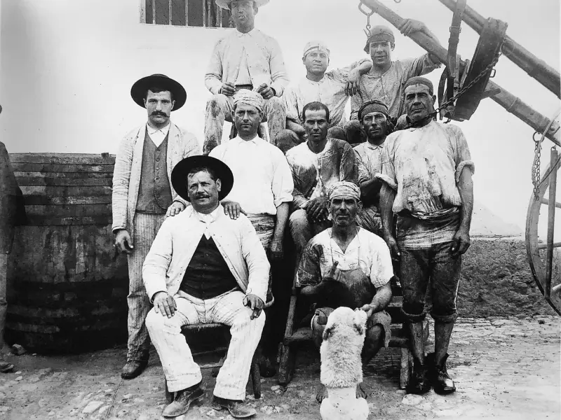 Vendimiadores en la finca Santa Rosa.