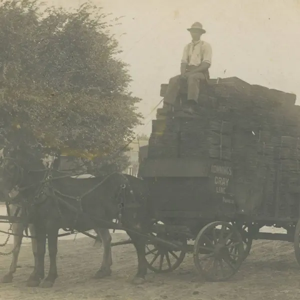 Downings Dray Line Co. Wagon