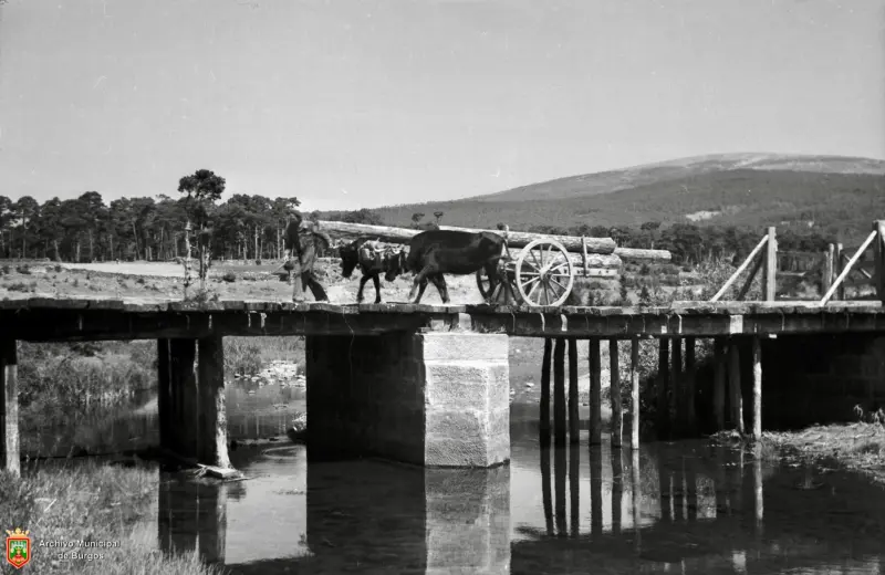 Vista de un carro cargado de troncos