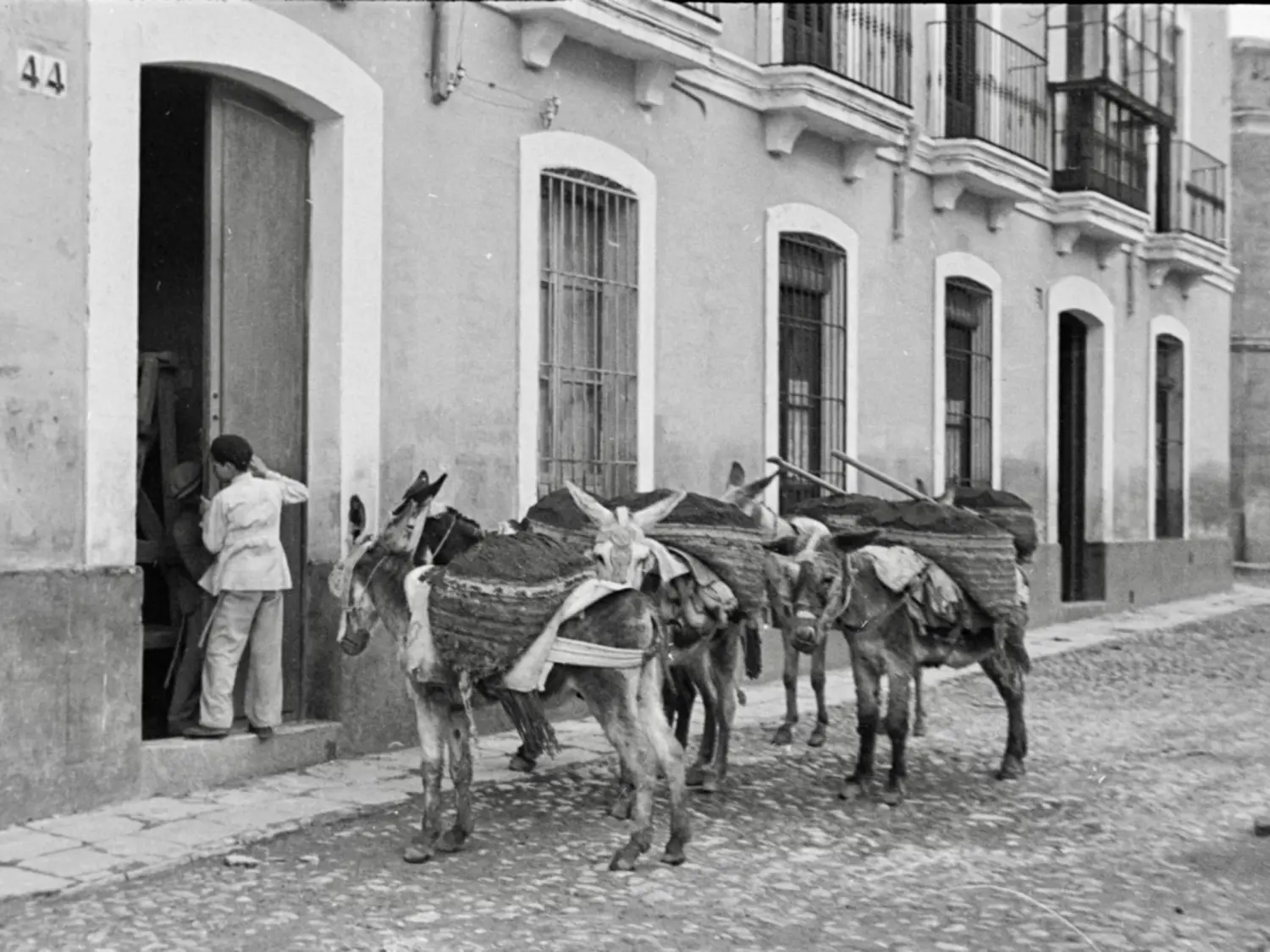 Burros con los serones cargados