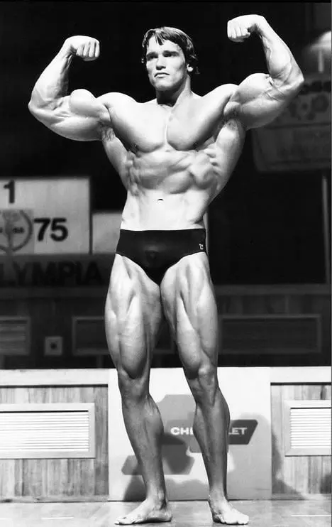 Arnold Schwarzenegger