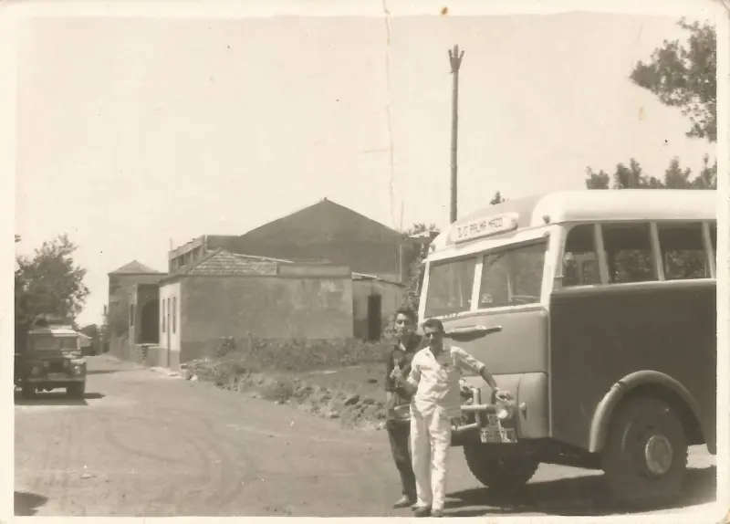 El Pinar - Puntagorda