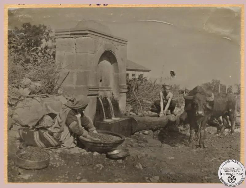 Woman Washing Berries Near a Spring in Norshen