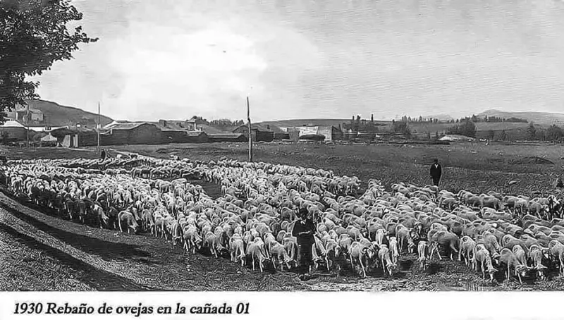 LOS ULTIMOS PASTORES DE SORIA. 