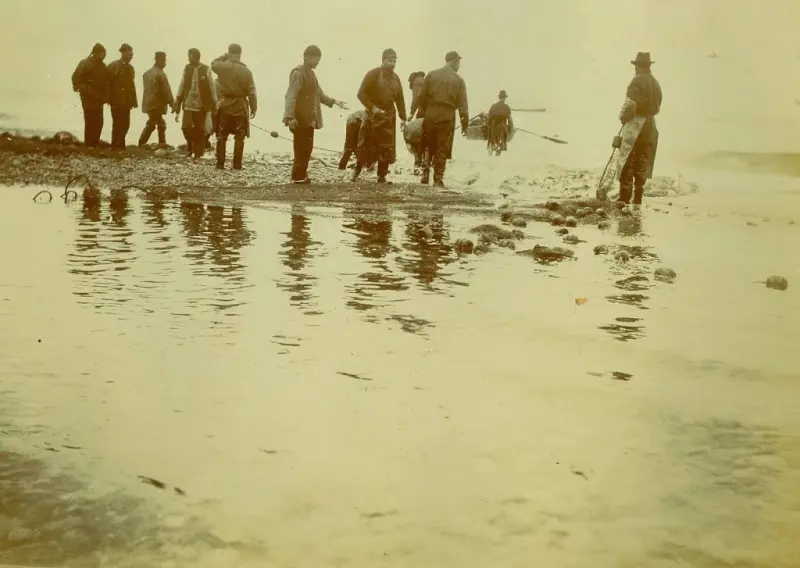 Alaska Natives seining