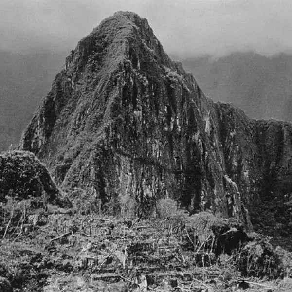 Ruinas estaban cubiertas por una densa jungla
