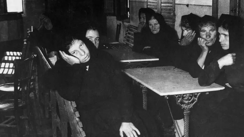 Viudas del “Ave del Mar”