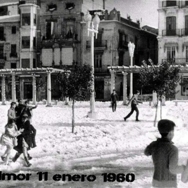 Alzira nevada