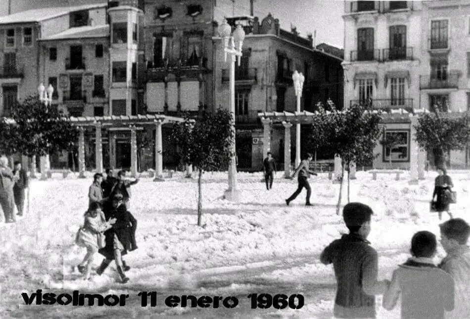 Alzira nevada