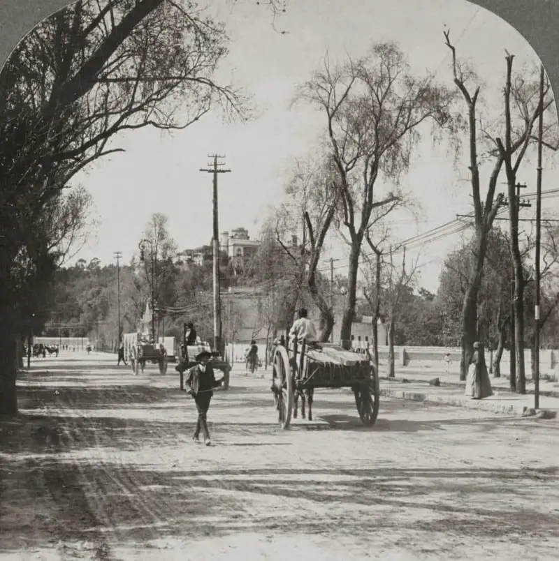  La avenida Chapultepec