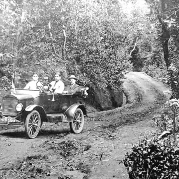 Monte de las Mercedes. 