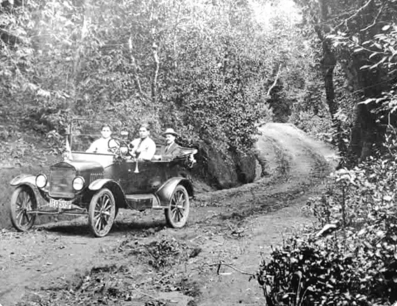 Monte de las Mercedes. 