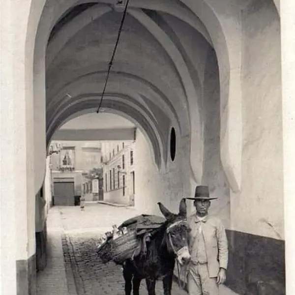 Arquillo de la Plata