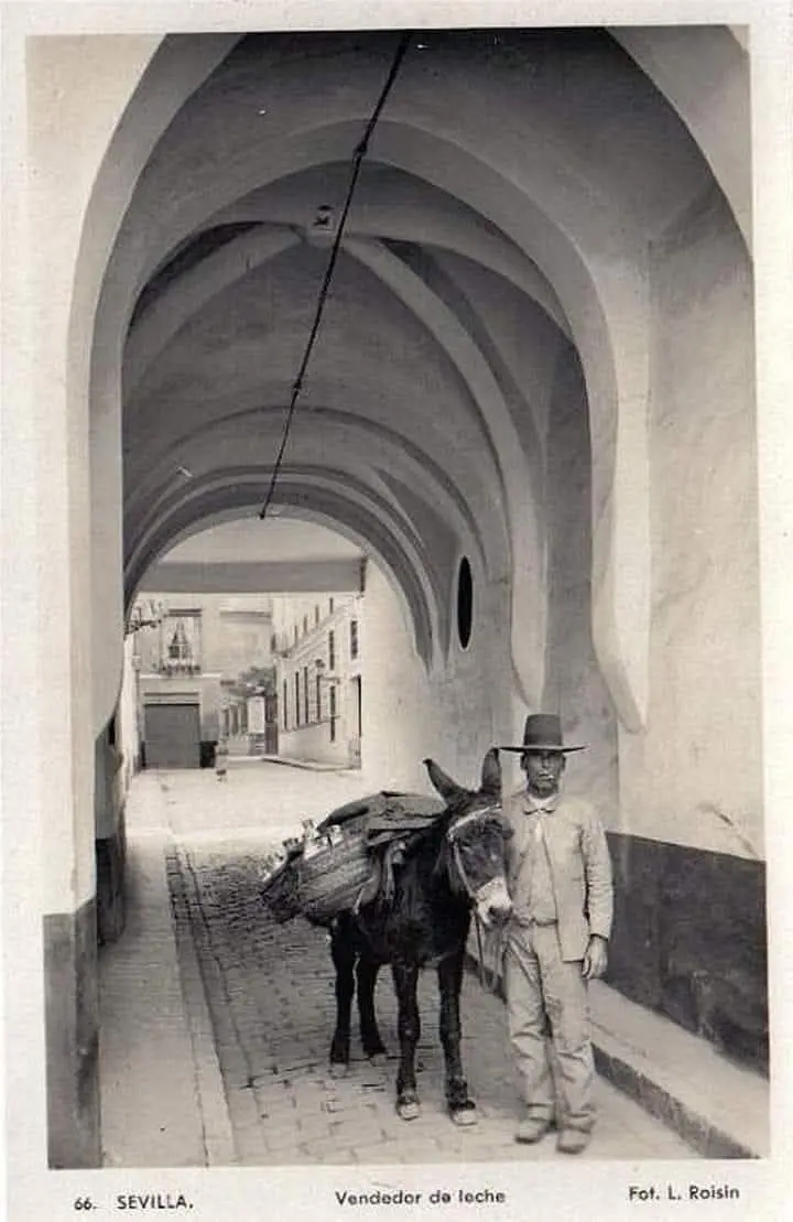 Arquillo de la Plata