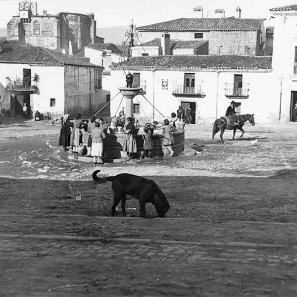 A por agua a la fuente