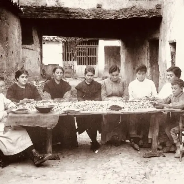 Seleccionando el azafrán