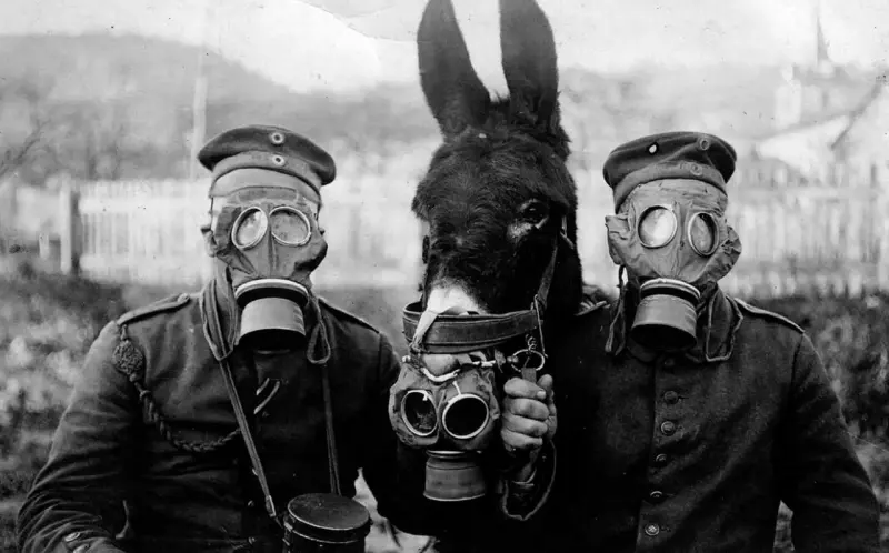 German Soldiers and Mule Wearing Gas Masks in 1914