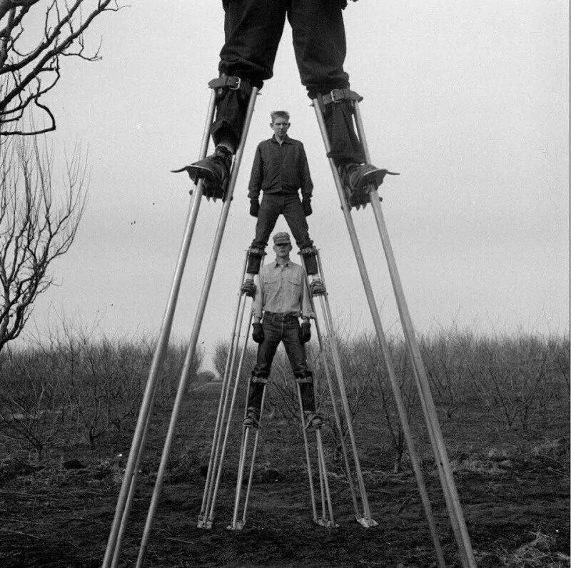 California Farmers Working in the Garden on Special Stilts