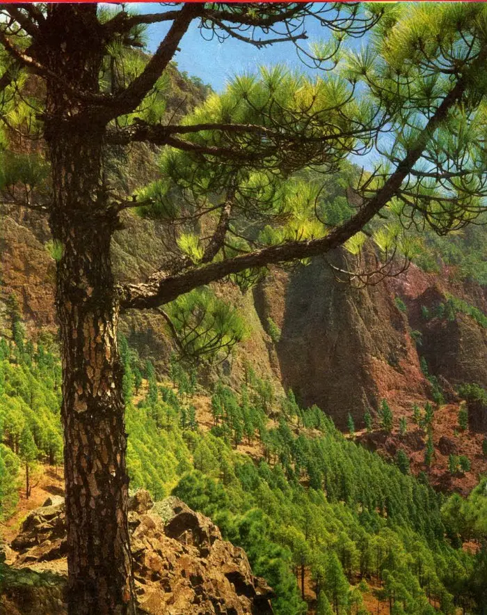 Parque Nacional Caldera de Taburiente.