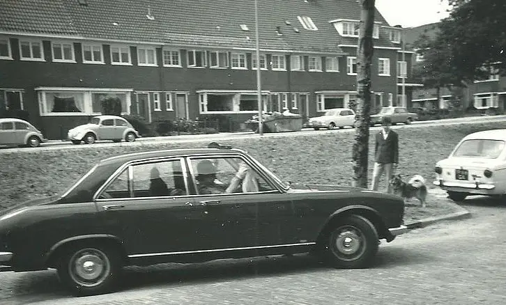 Groen van Prinstererstraat