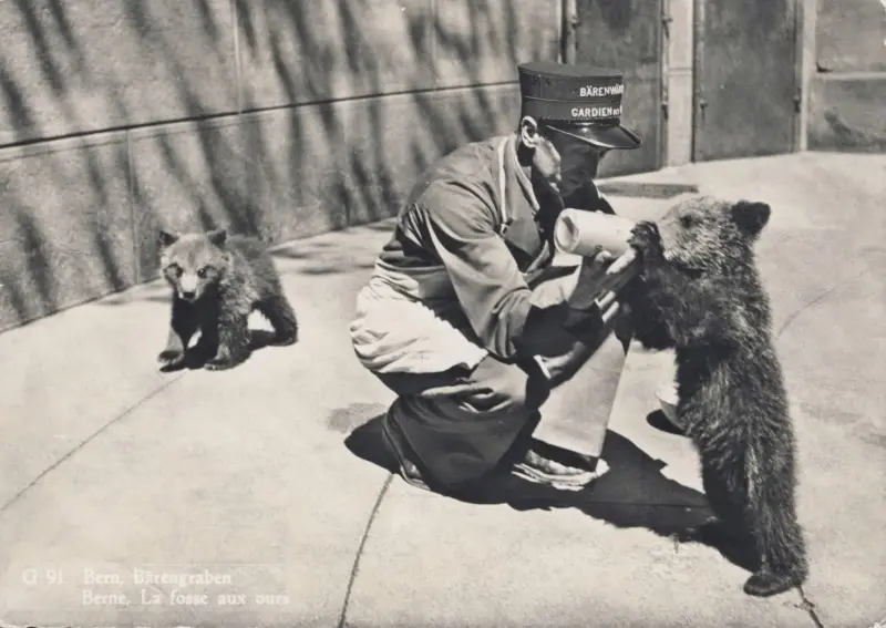 Un cuidador de osos.