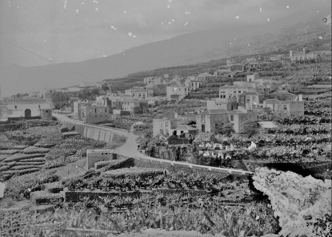 Panorámica de Los Sauces.