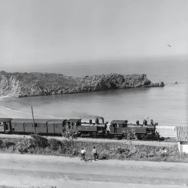  Tren pasando junto al mar