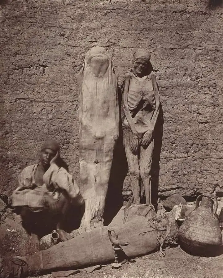 The Mummy Seller